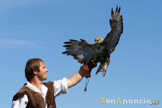 ESPECTÁCULOS CON AVES. VARIAS PROVINCIAS.